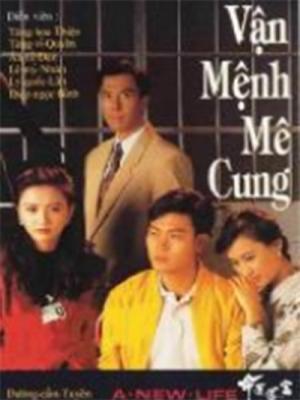 Vận Mệnh Mê Cung