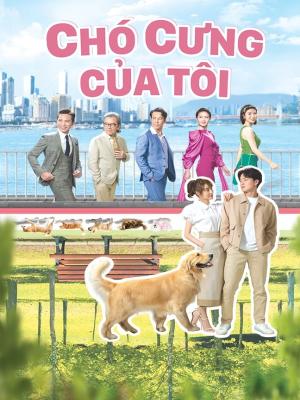 Chó Cưng Của Tôi