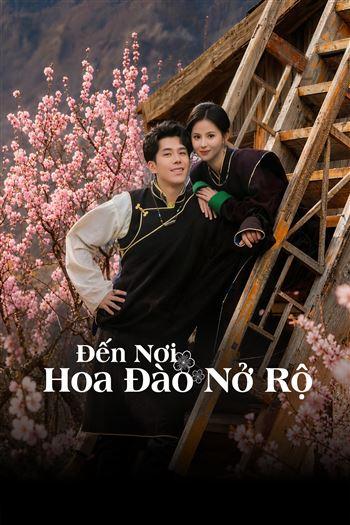 Đến Nơi Hoa Đào Nở Rộ